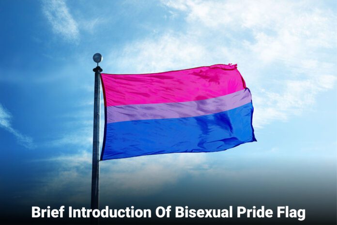 Introduction Of Bisexual Pride Flag
